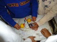 /album/fotogaleria-seccion-cultural/energia-limon-3-jpg1/